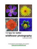 Free eBook: 13 Tips for Better Wildflower Photography