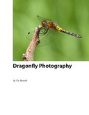 Free eBook: Dragonfly Photography