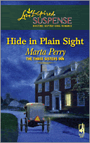 Free Suspense Novel: Hide in Plain Sight