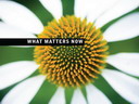 Free eBook: What Matters Now
